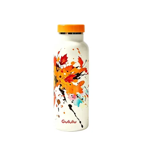 DT5030- Double Wall Stainless Steel Wide Mouth Bottle